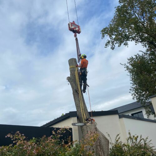 WhatsApp Image 2025-10-21 at 22.55.24 (2)