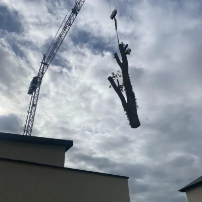 WhatsApp Image 2025-10-21 at 22.55.24