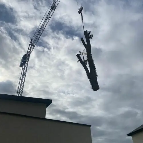 WhatsApp Image 2025-10-21 at 22.55.24